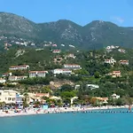 Natashas *